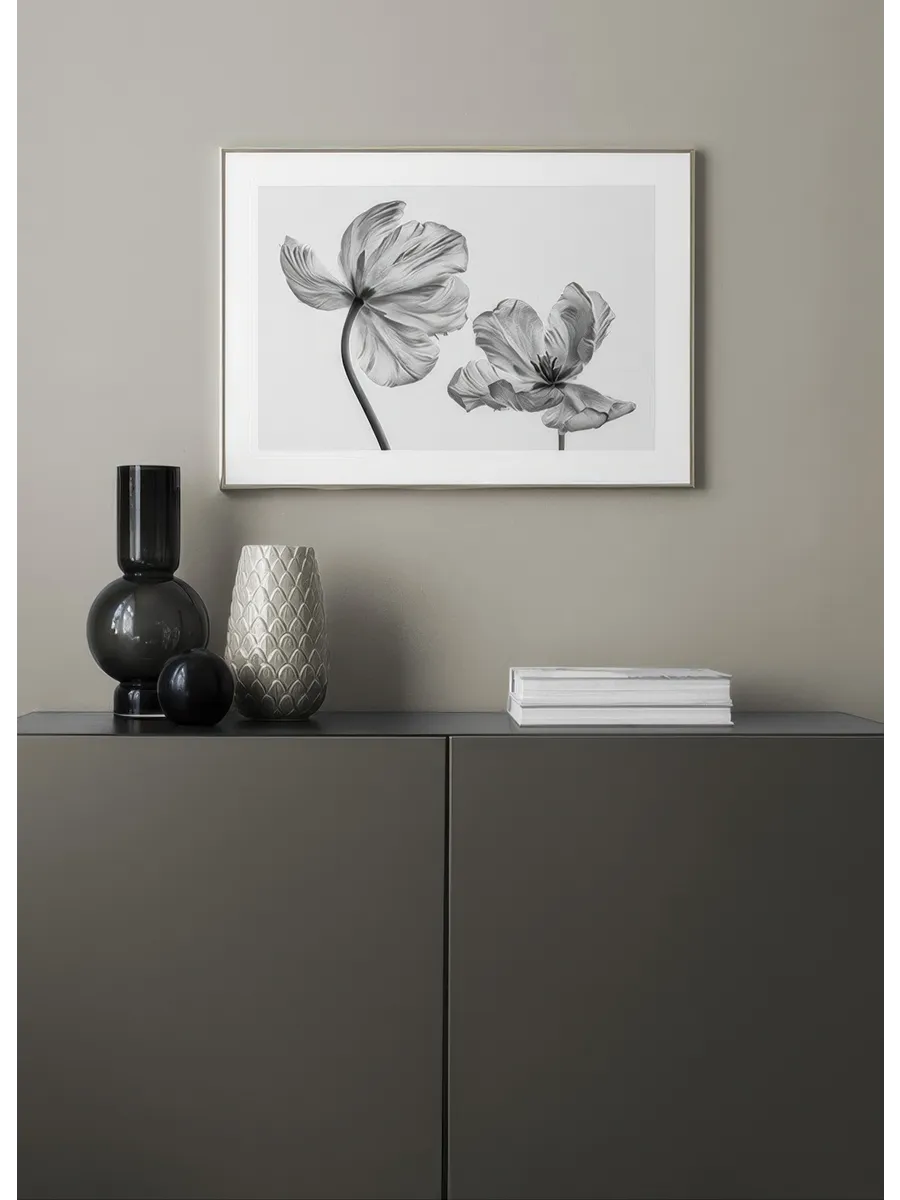 Black and White Tulips