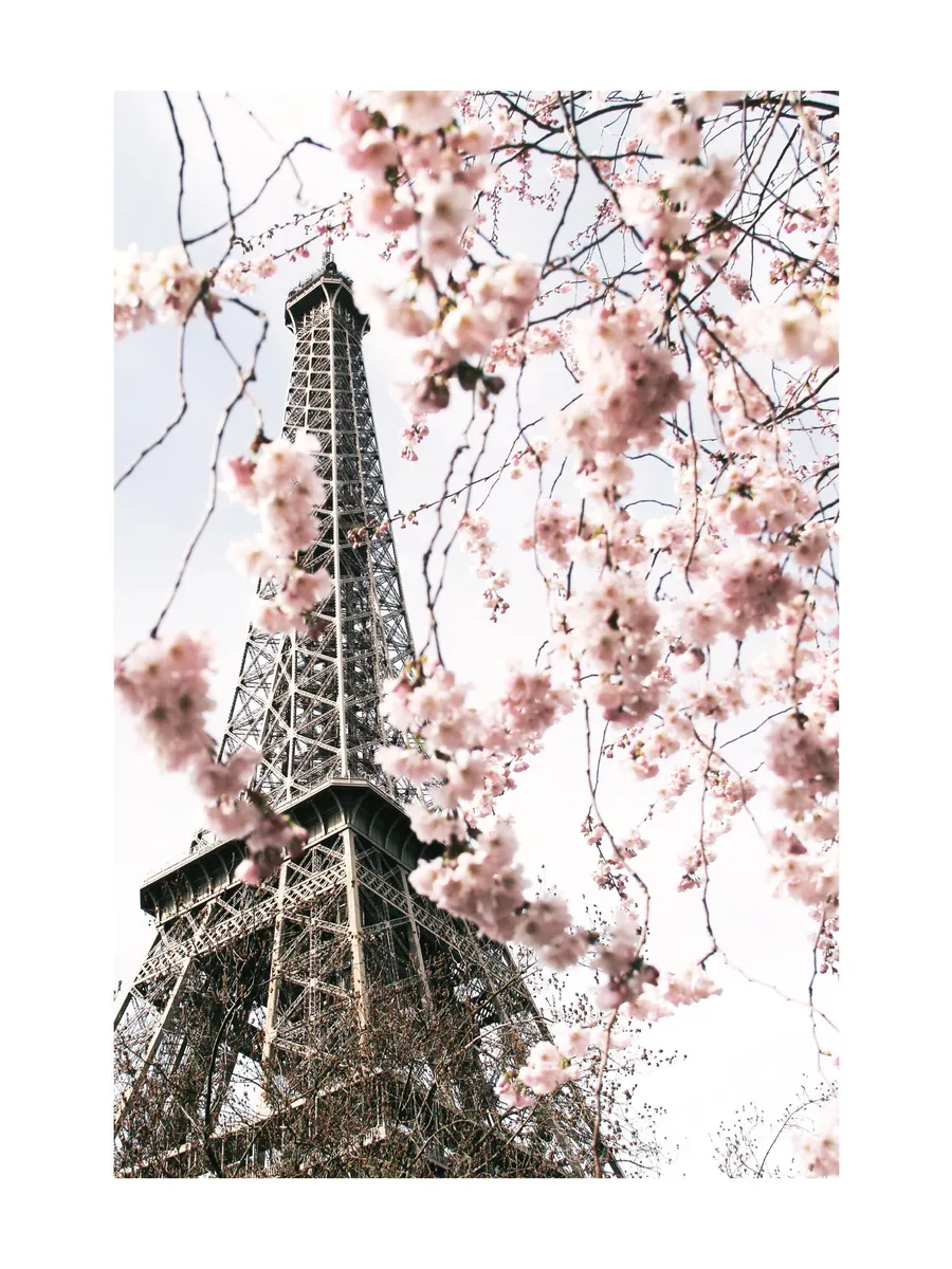 Blooming Paris