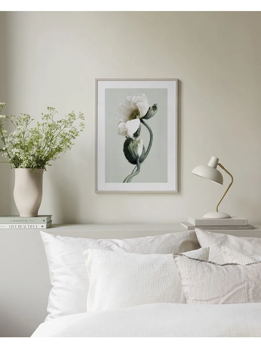 Blooming White Poppies