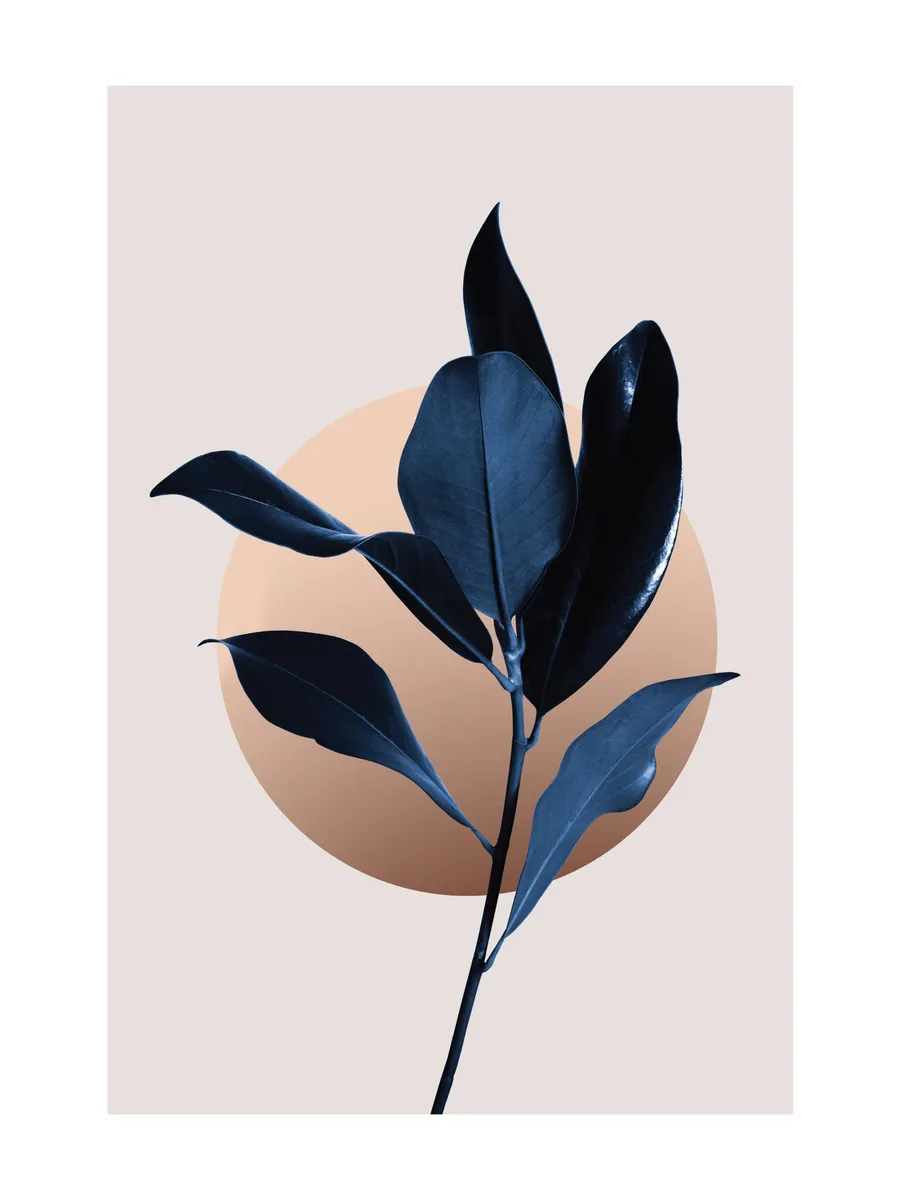 Blue Magnolia No2