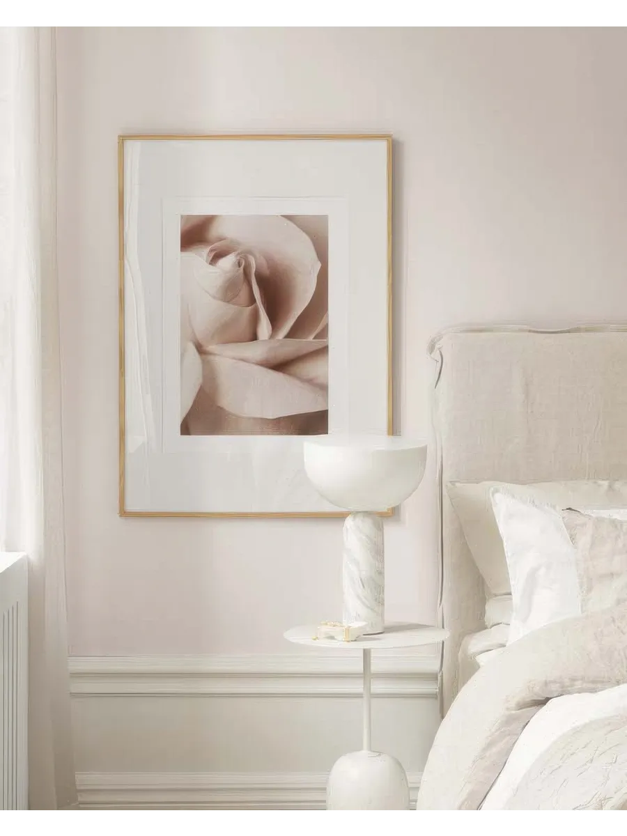 Blush Pink Rose