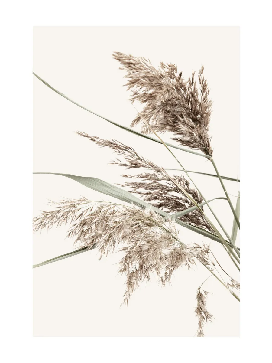 Boho Grass