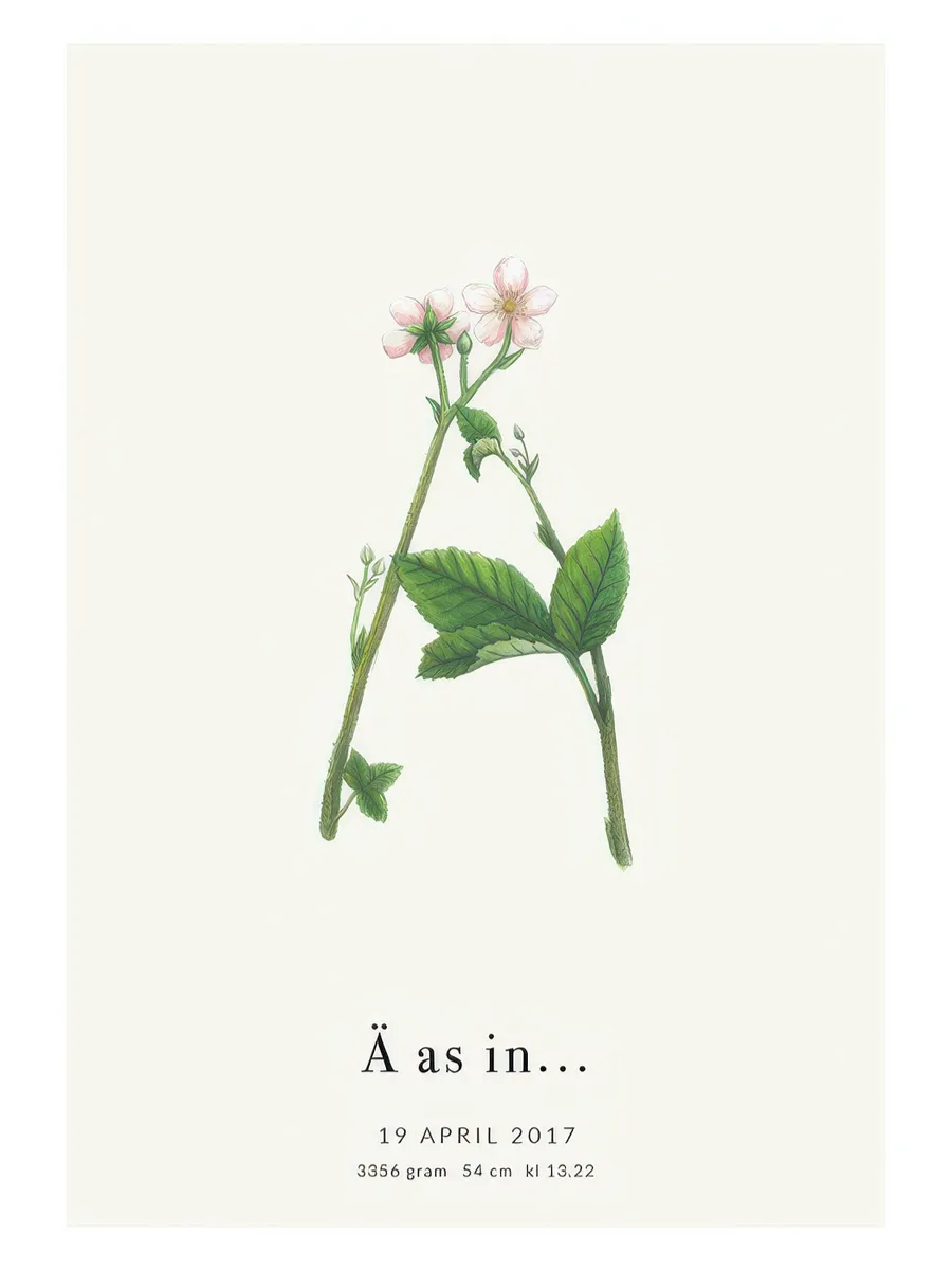 Botanic Letter a Personal 1