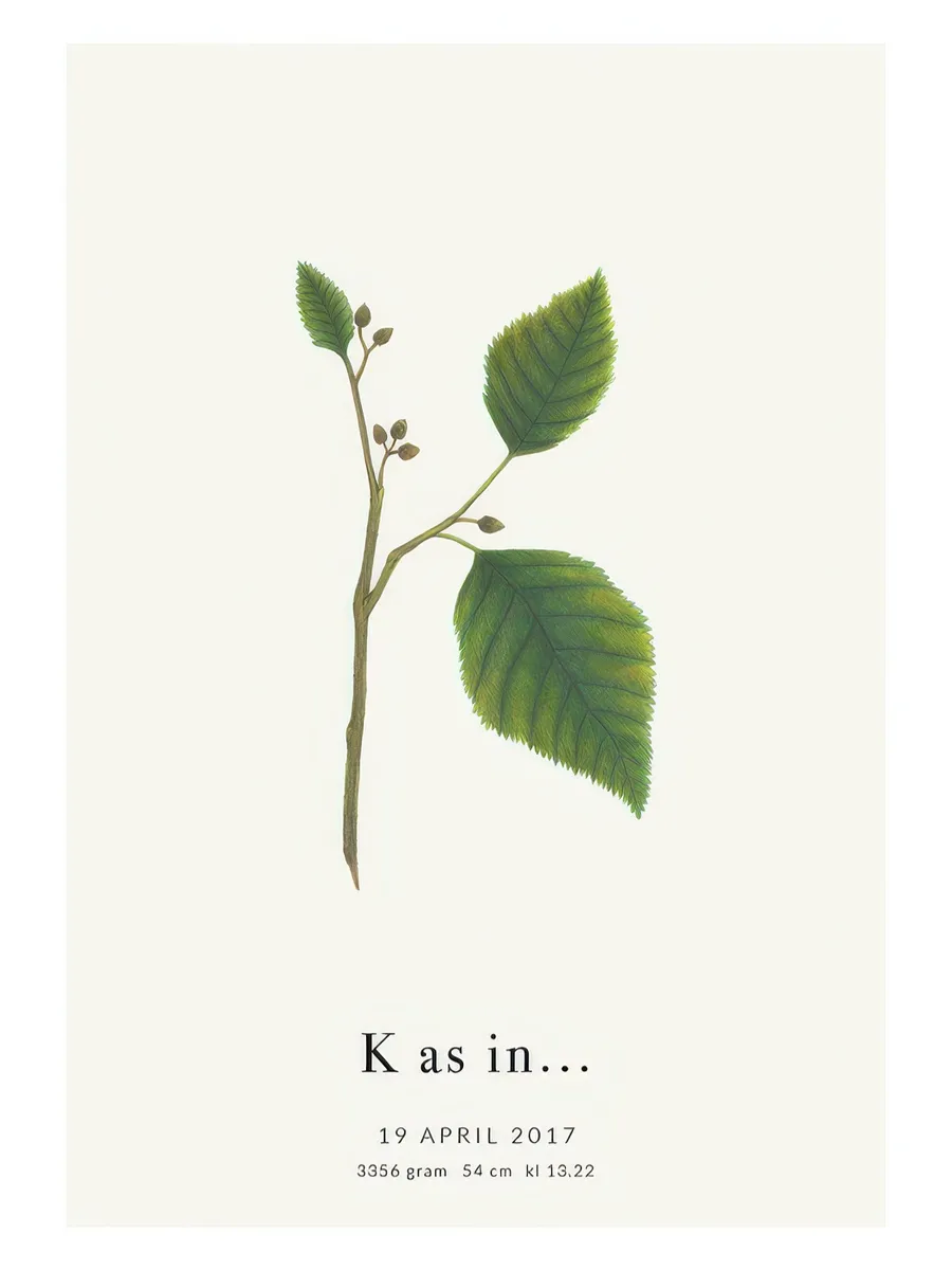 Botanic Letter K Personal