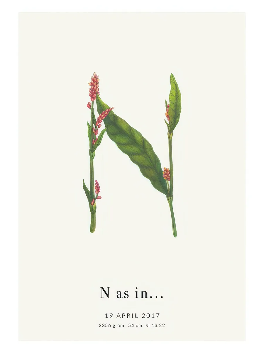 Botanic Letter N Personal