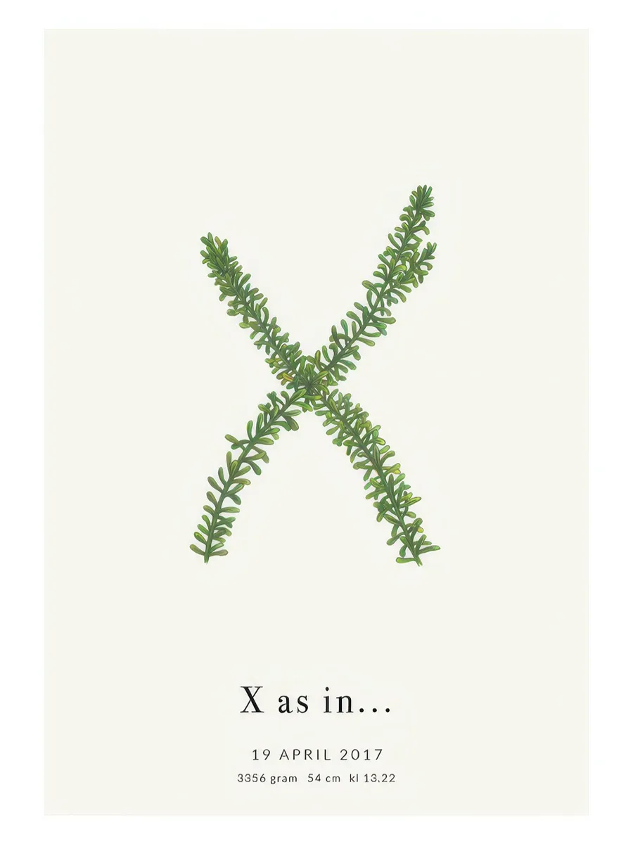 Botanic Letter X Personal