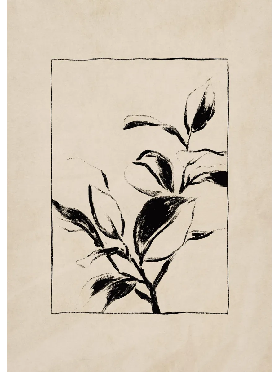 Botany
