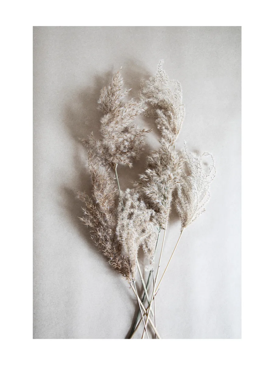 Bouquet of Autumn Reeds