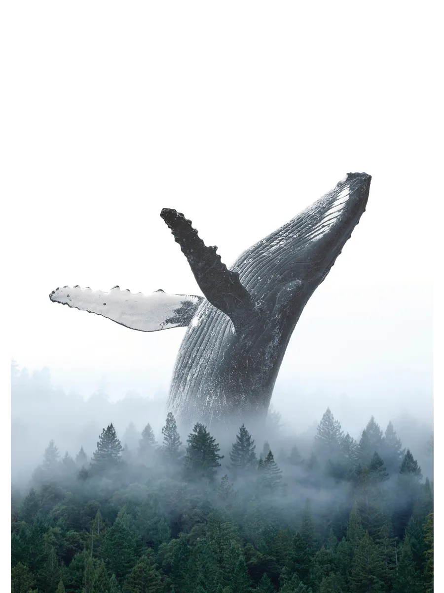 Breaching Whale
