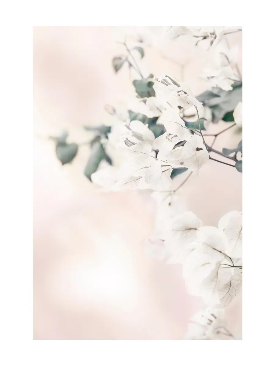 Bright Flowers