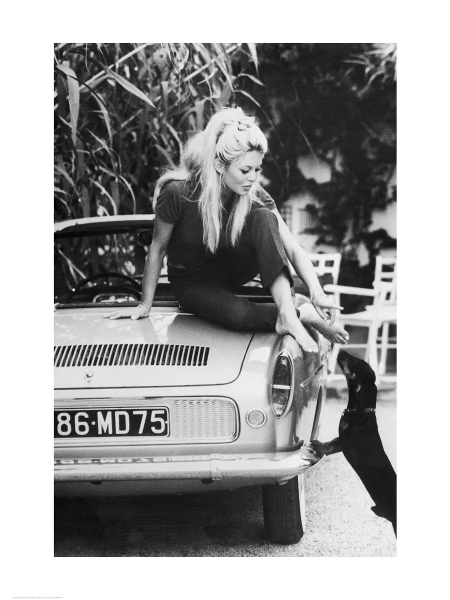 Brigitte Bardot