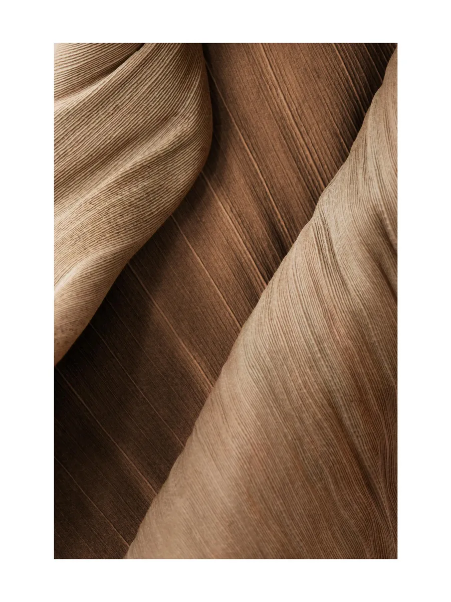 Brown Close Up