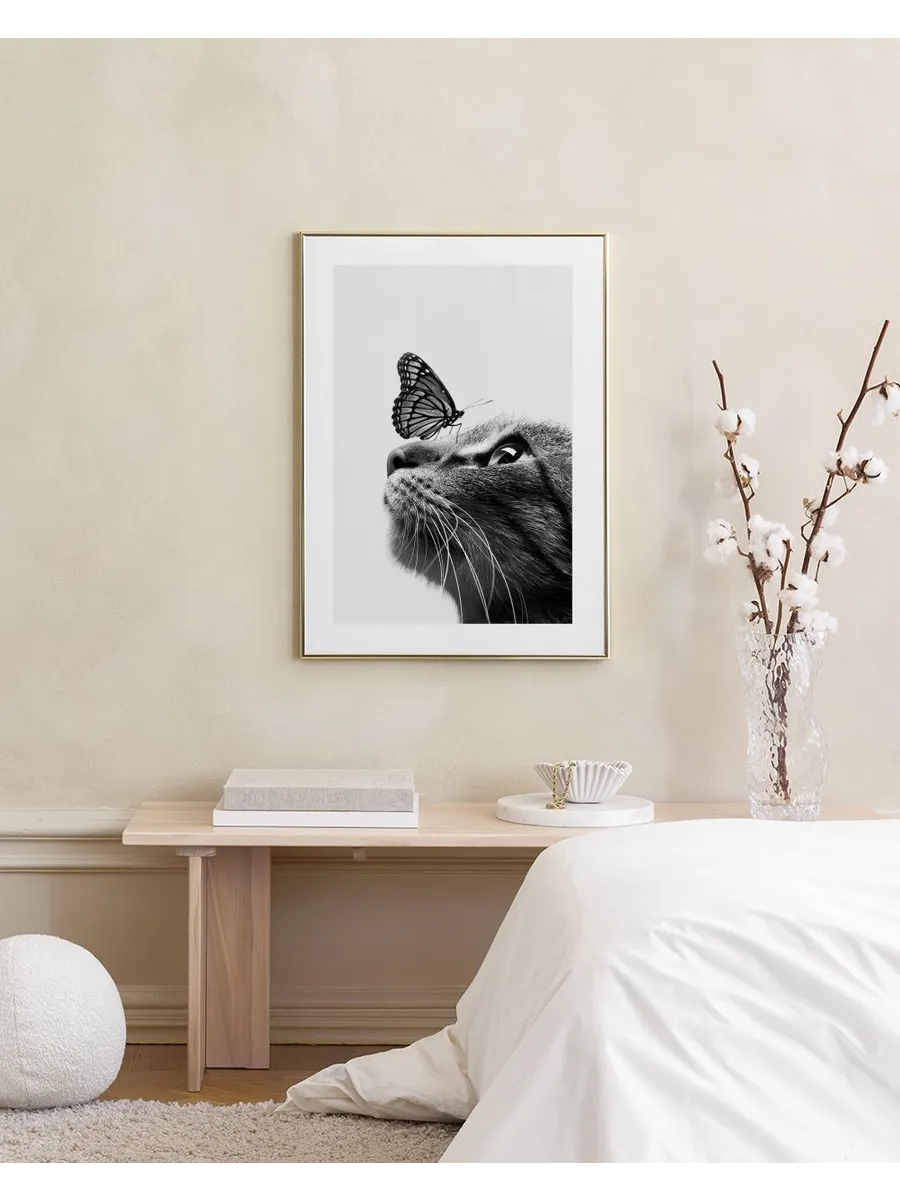 Butterfly Cat