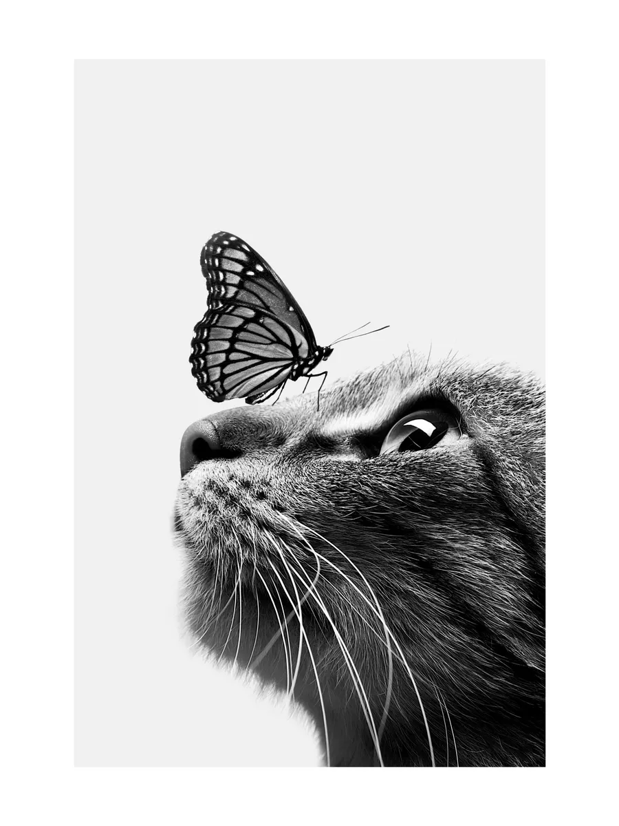Butterfly Cat