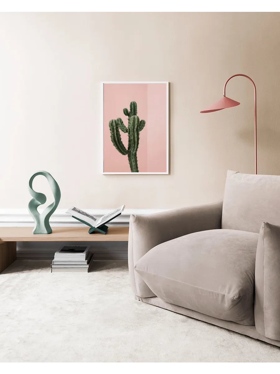 Cactus Corner