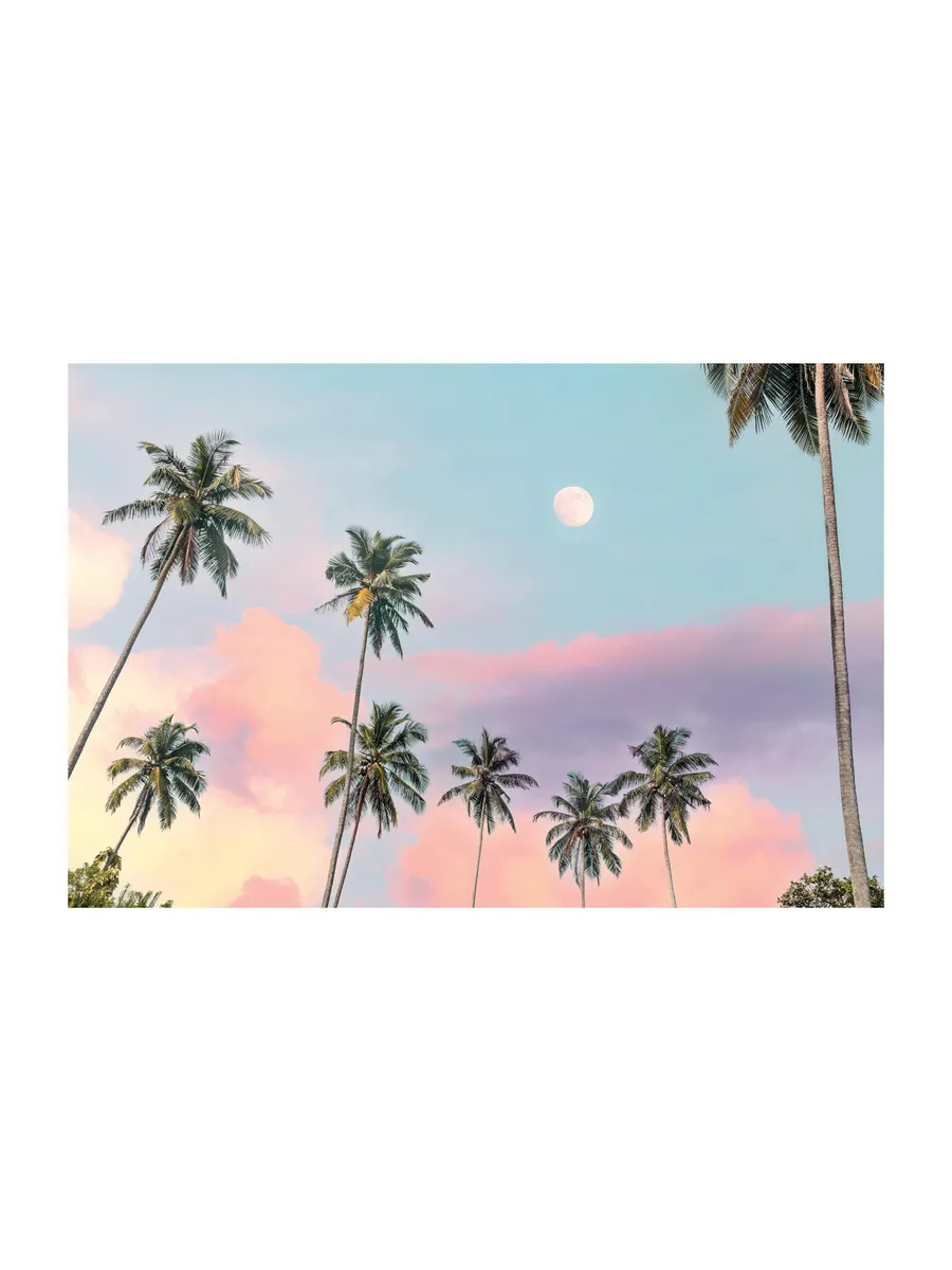 California Sky