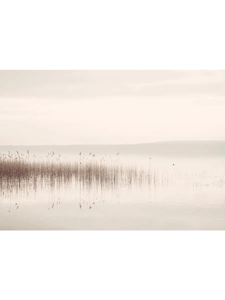 Calm View