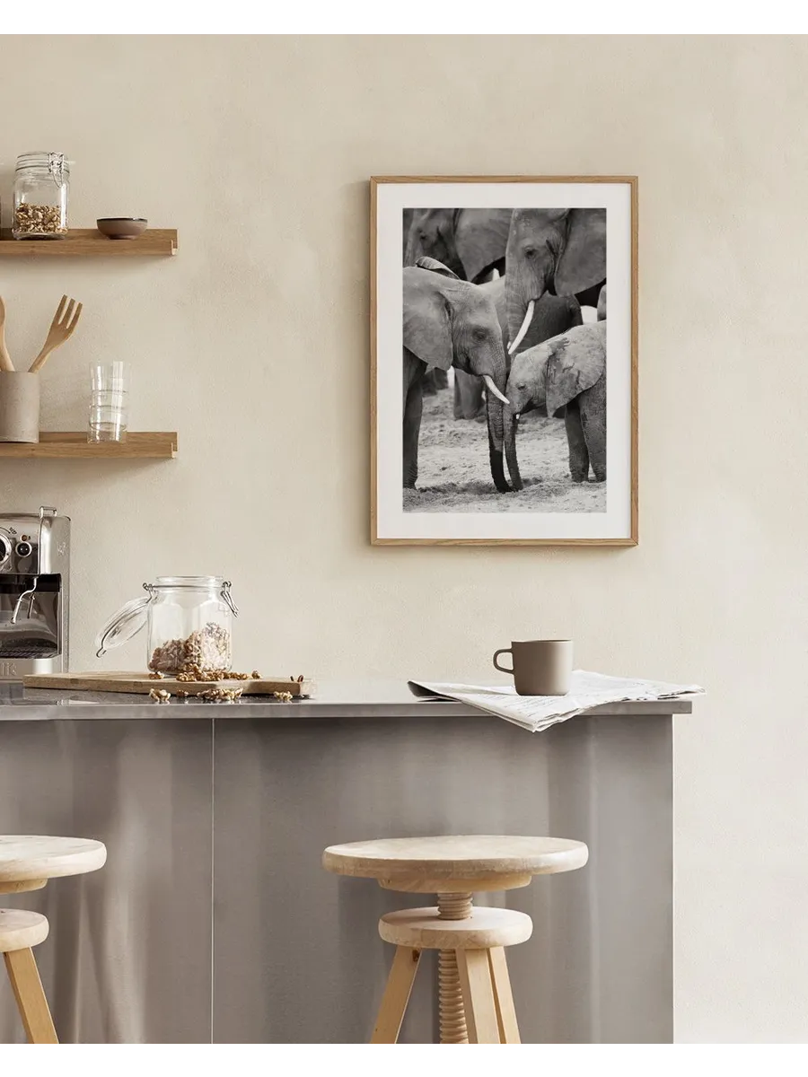 Caring Elephants