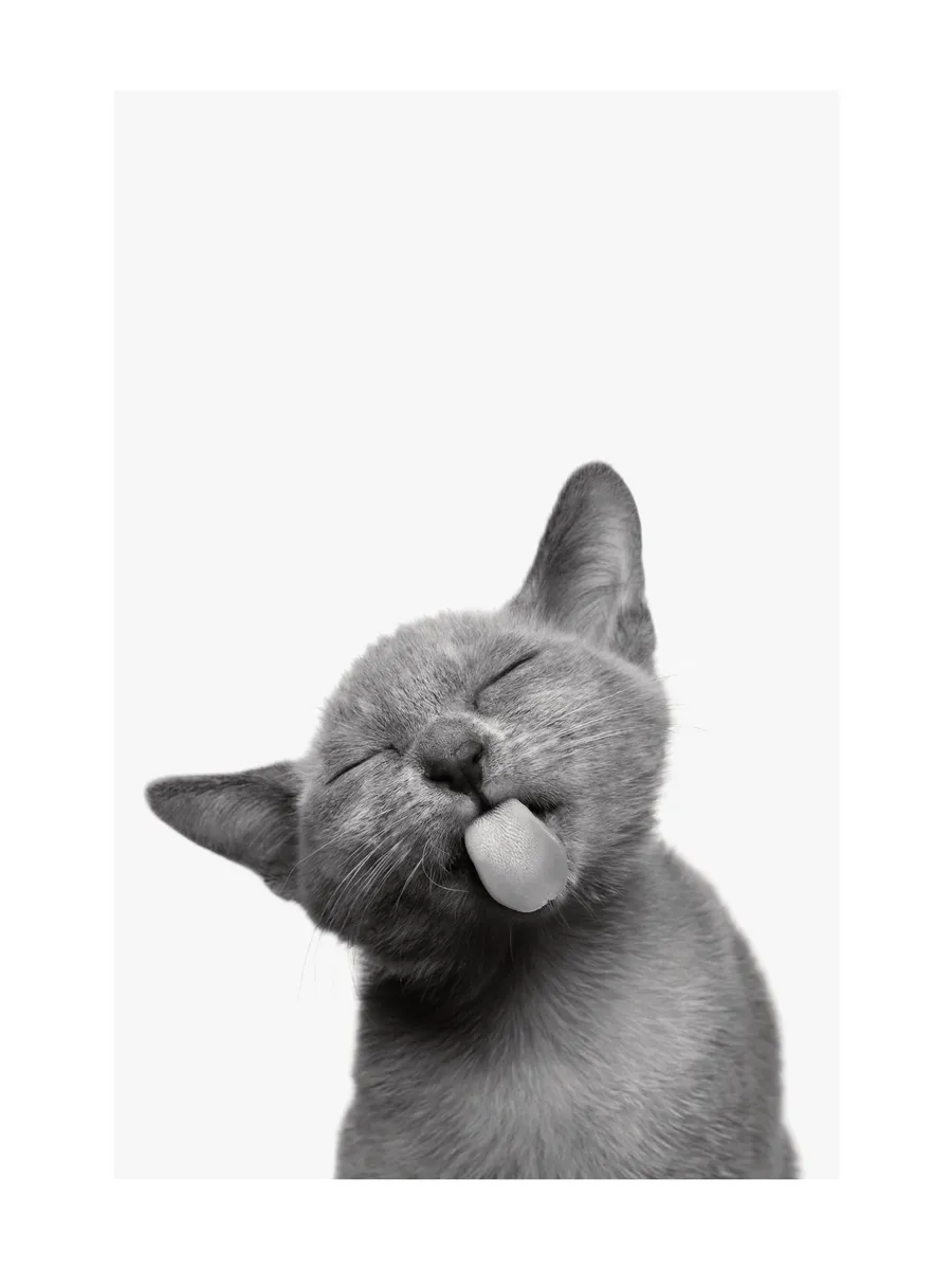 Cat Tongue