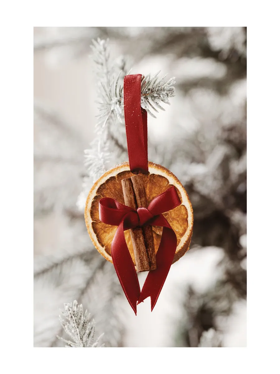 Christmas Orange