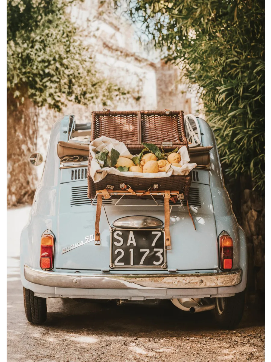 Citrus Cruise