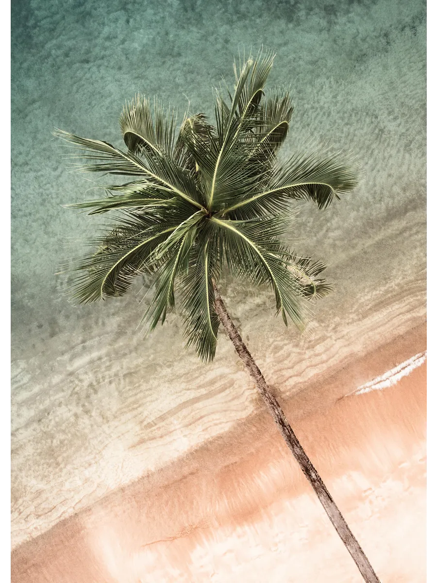 Coastal Crown