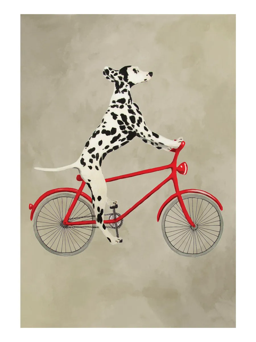 Coco de Paris Dalmatian on Bicycle