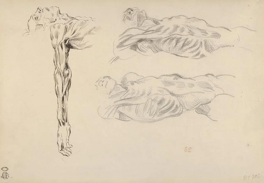 corch Three Studies of a Male Cadaver