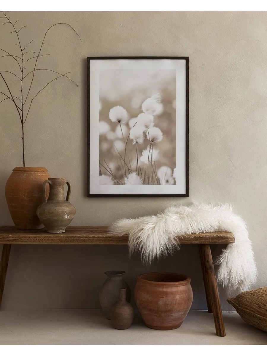 Cottongrass