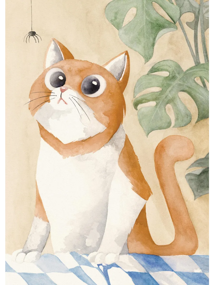 Curious Cat