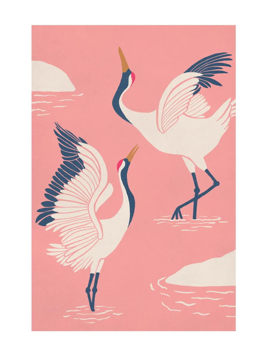 Dancing Cranes