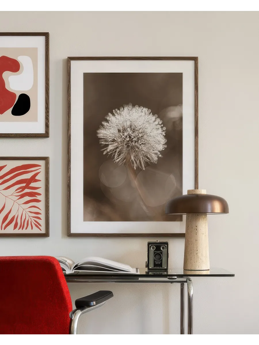 Dark Dandelion