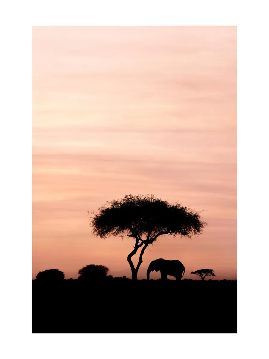 Dazzling Sunset