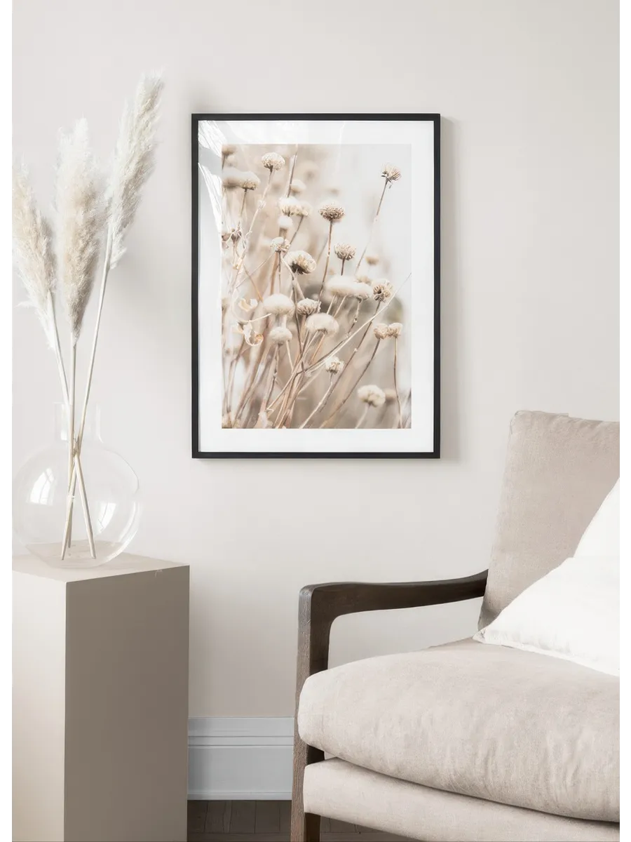 Delicate Dry Flowers