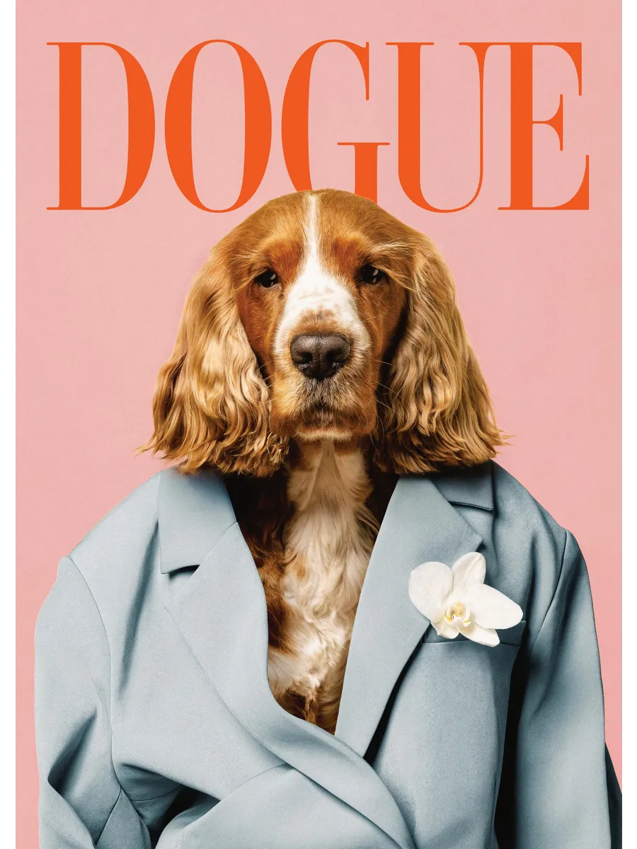Dogue
