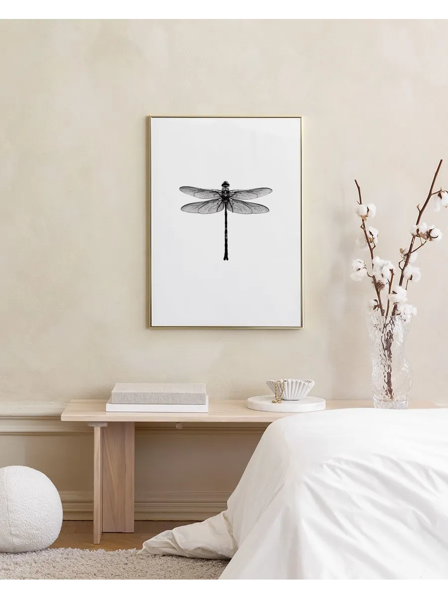 Dragonfly Black and White