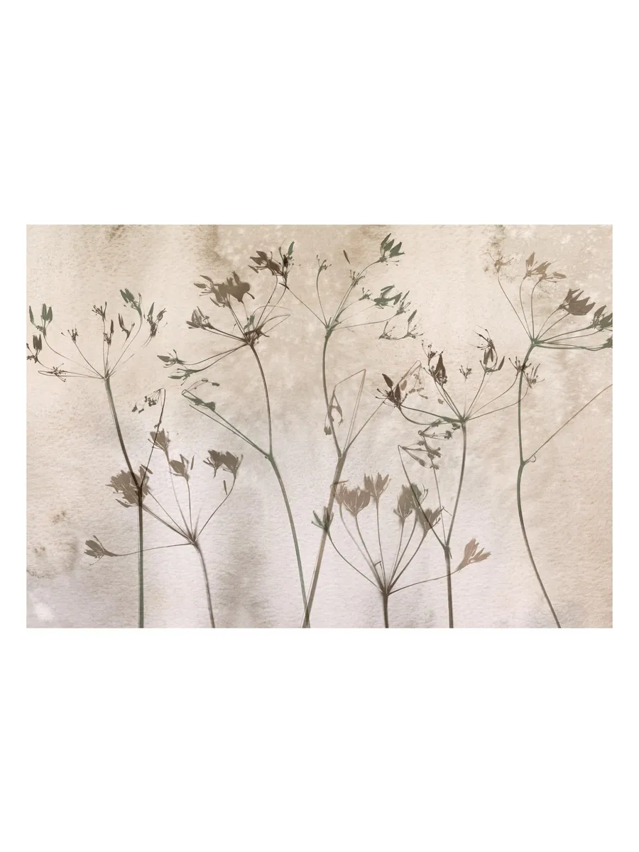 Dried Flowers Art No1