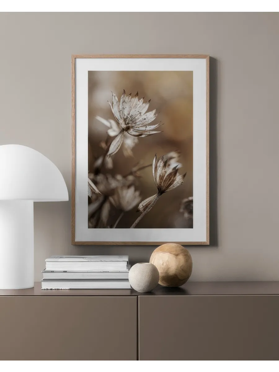 Dried Flowers in Brown
