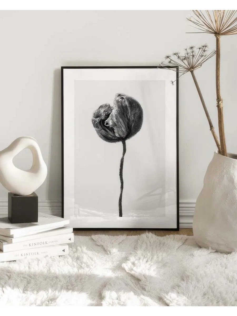 Dried Poppy Flower
