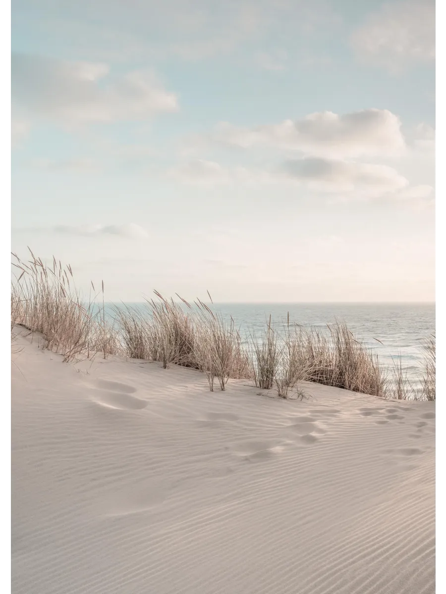 Dune Beach No1