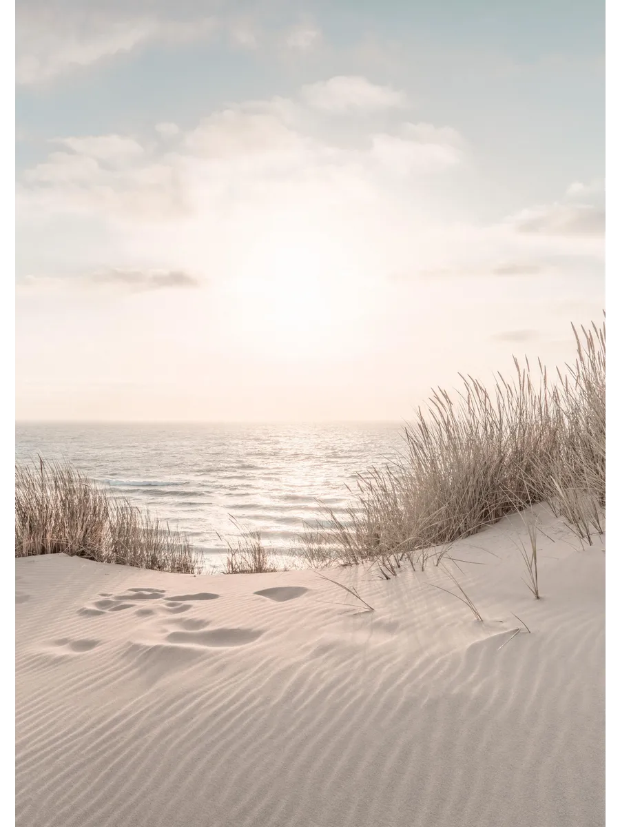 Dune Beach No2
