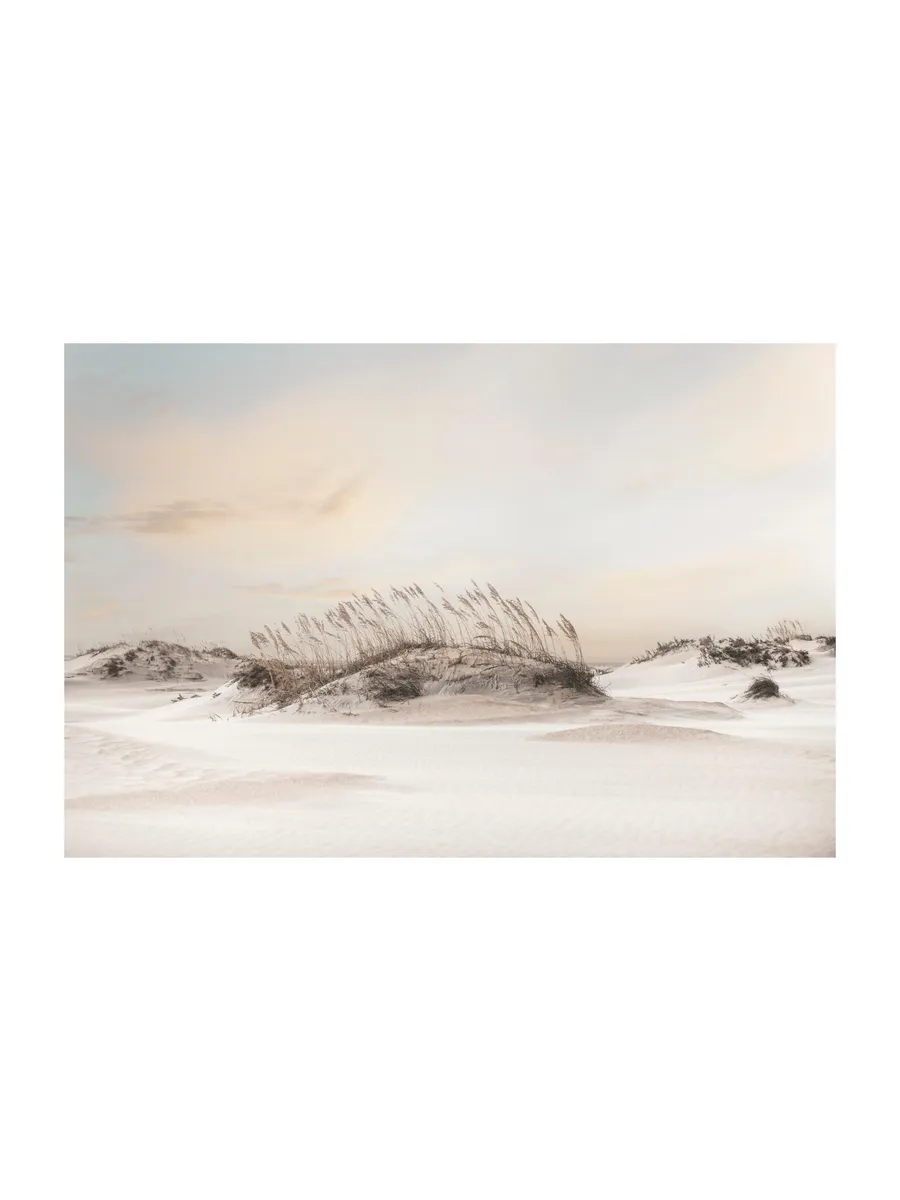 Dune Landscape