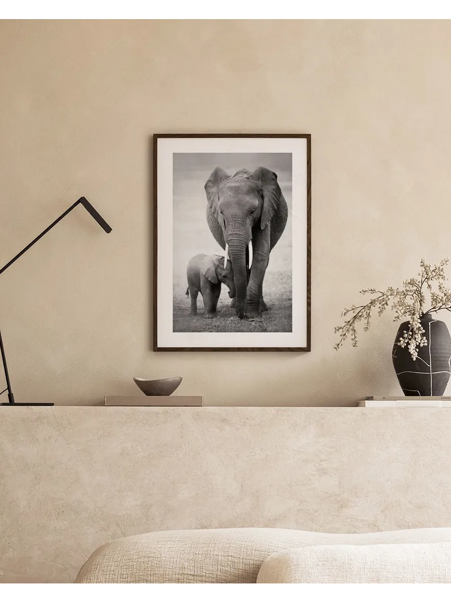 Elephant Love