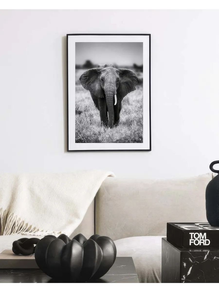 Elephant on the Savanna