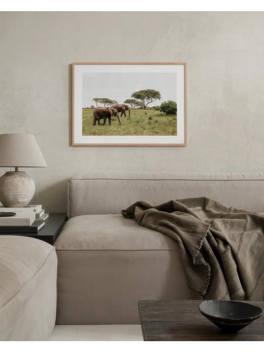 Elephants in the Wild