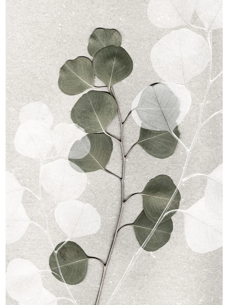 Eucalyptus Art No2