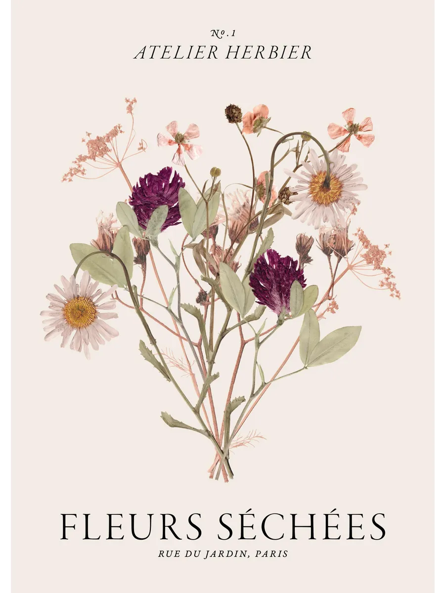 Fleurs Sechees