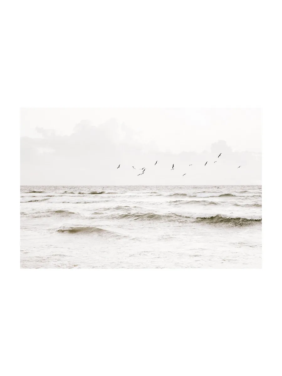 Flock of Seabirds