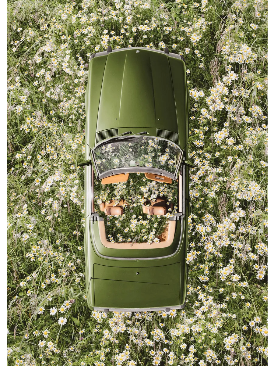 Floral Escape
