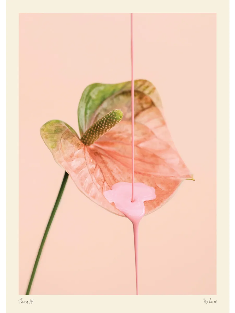 Flower as Art